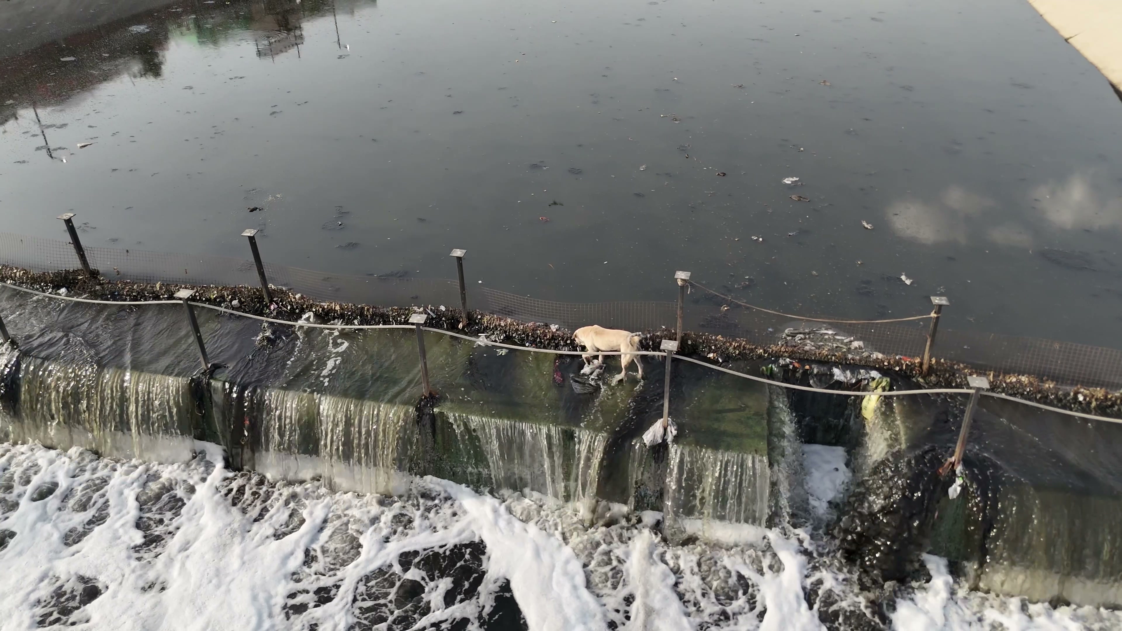 Jaipur drone clip 203